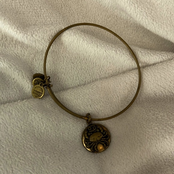 Alex and Ani Cancer Bangle Bracelet 2017 - Picture 2 of 4
